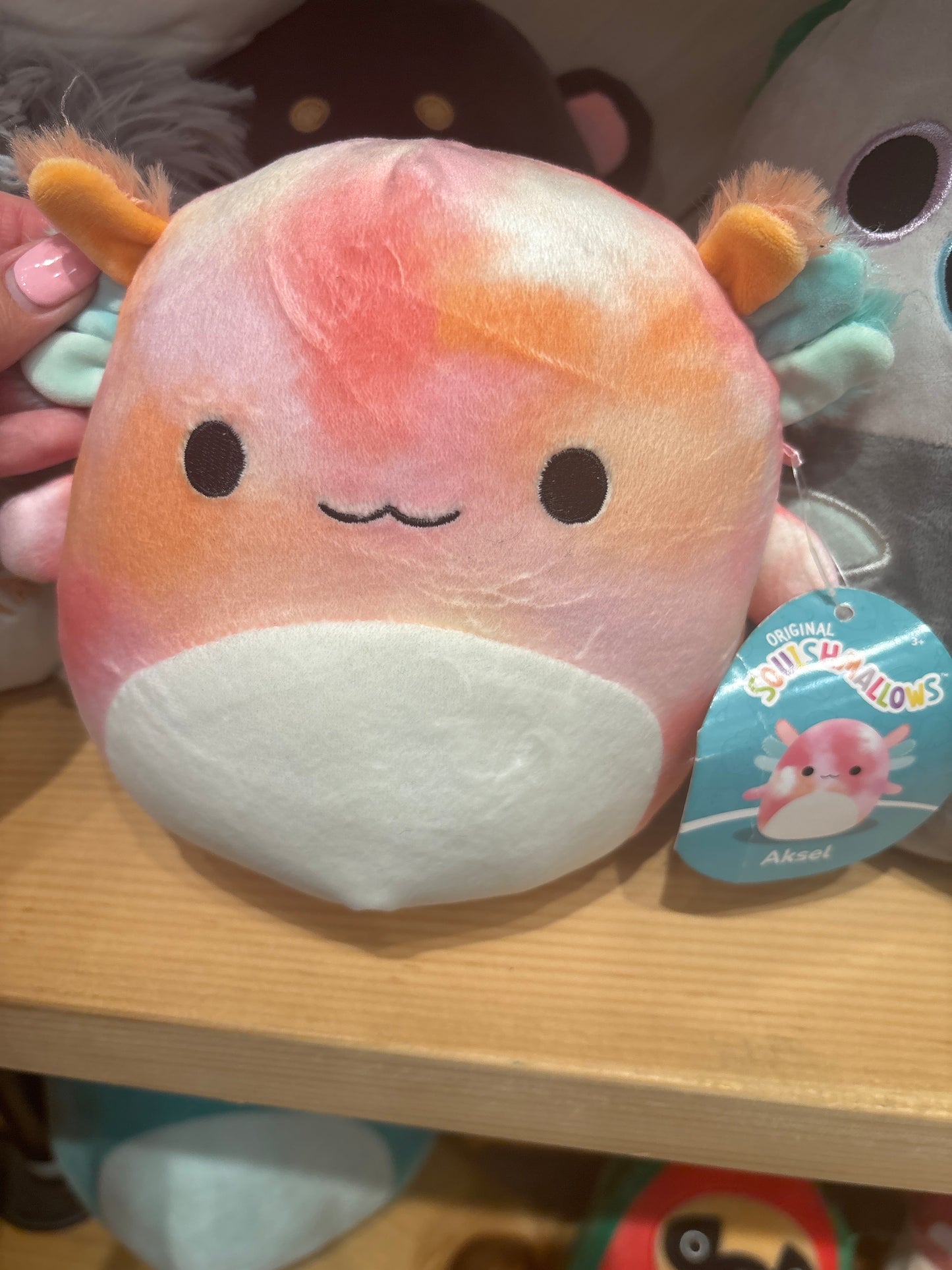 Aksel ~ Axotol Squishmallow