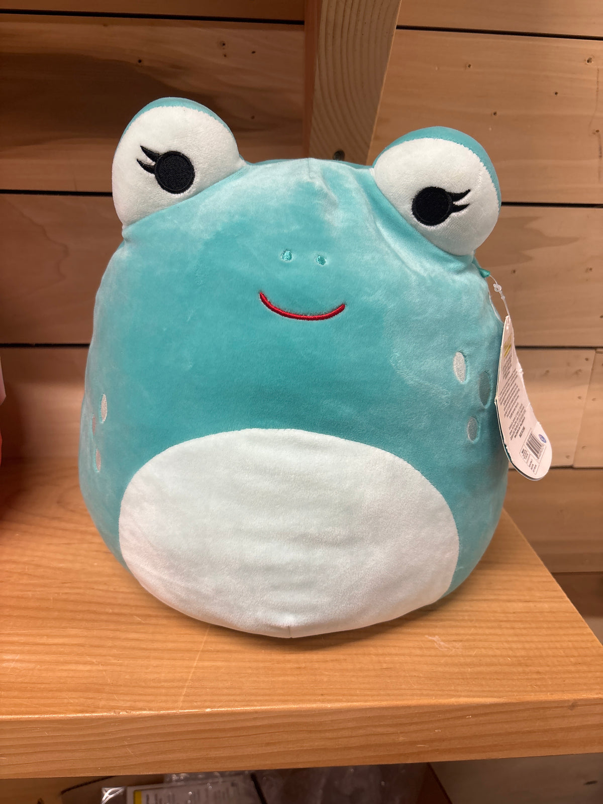 Novi Frog Squishmallow