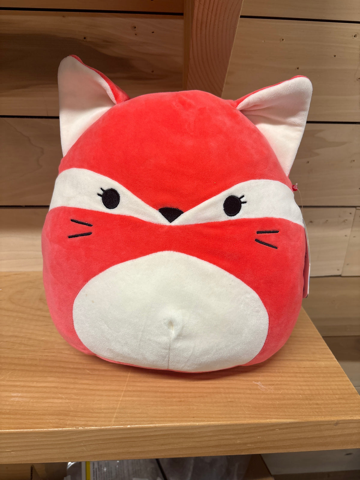 Fifi Cat Squishmallow