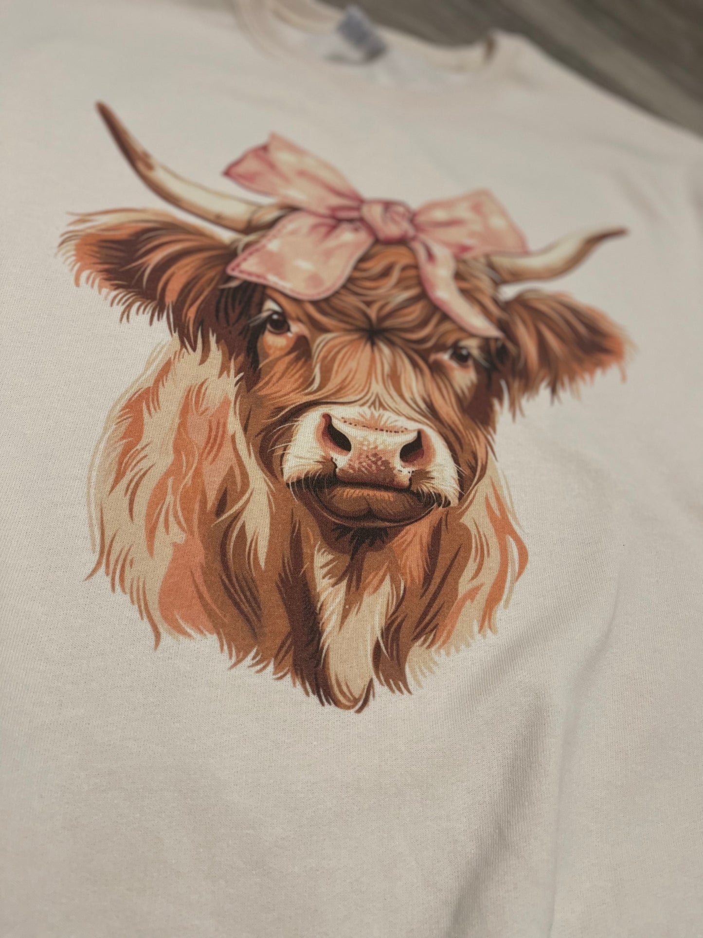 Coquette Highland Cow ~ T-Shirt or Sweatshirt