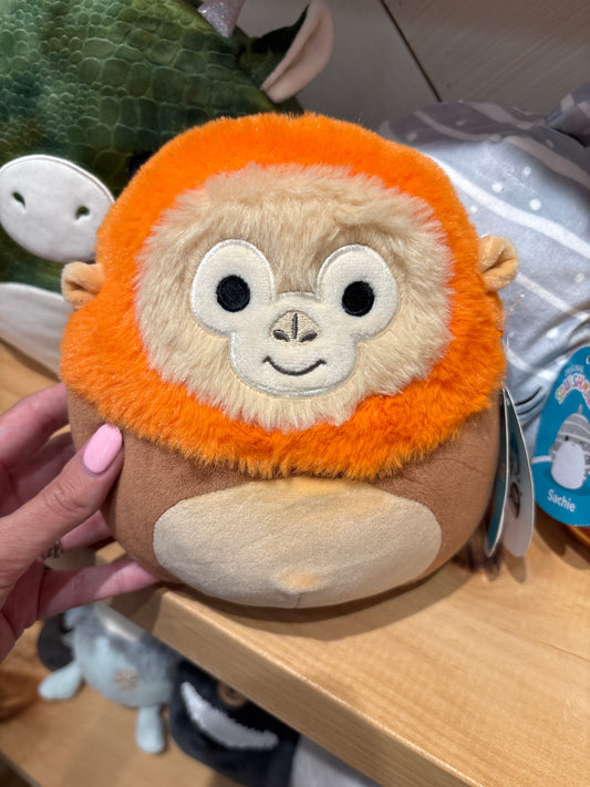 Robb ~ Orangutan Squishmallow