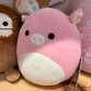 Peter ~ Pig Squishmallow