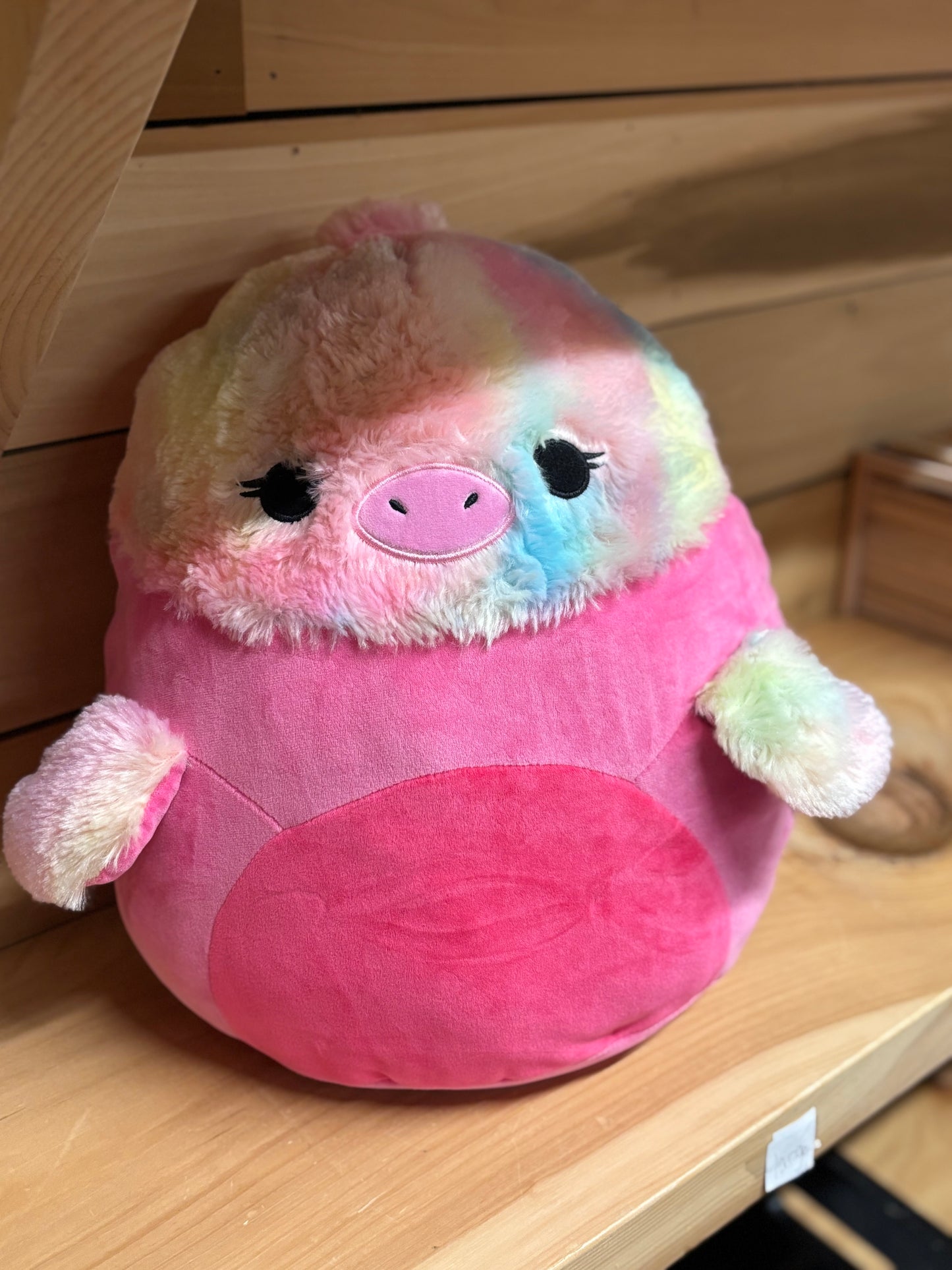 Abilene The Ostrich ~ Squishmallow