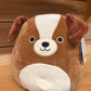 Bernie Dog Squishmallow