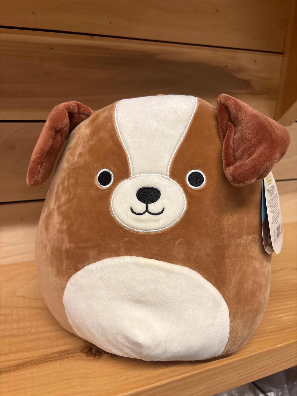 Bernie Dog Squishmallow