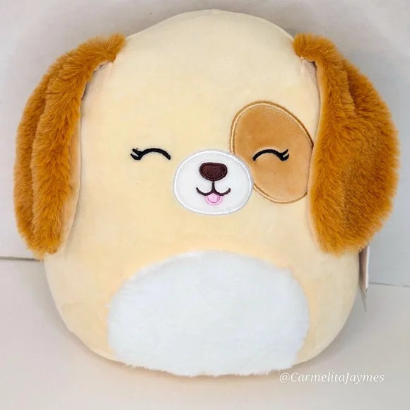 Harrison ~ Dog Squishmallow