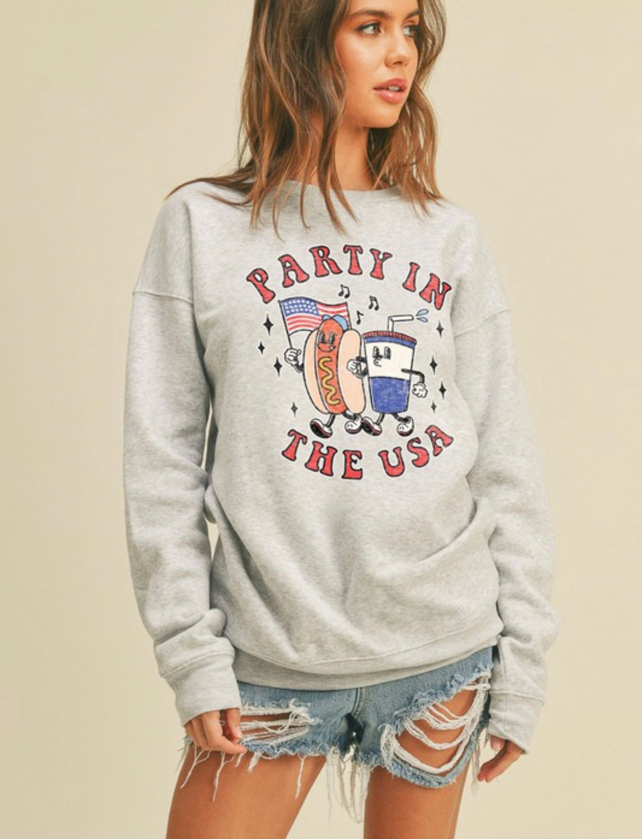 Party In The USA ~ Gray Sweatshirt